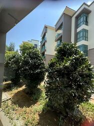 Palmwoods (D16), Condominium #582880311